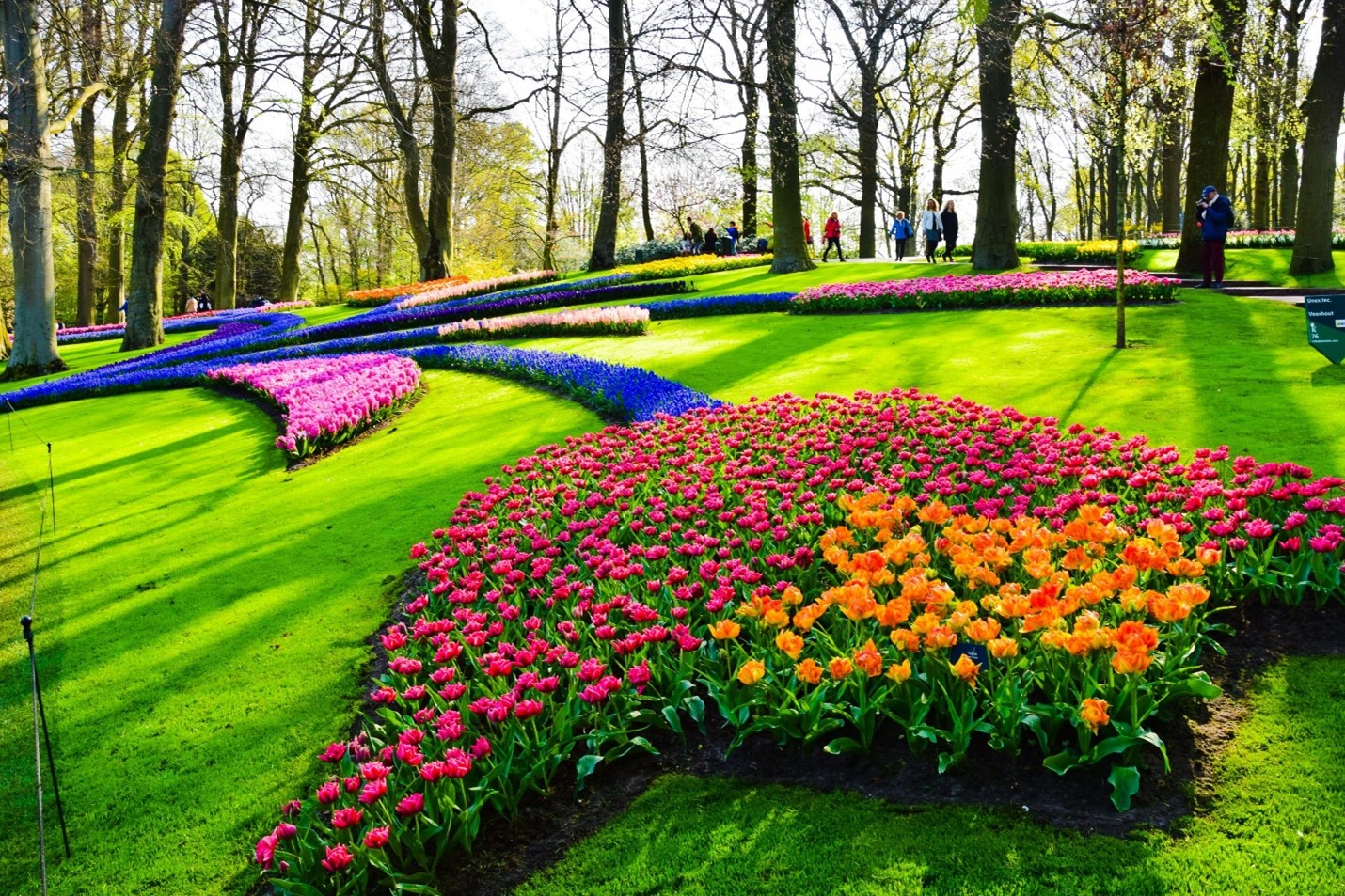 Keukenhof Gardens